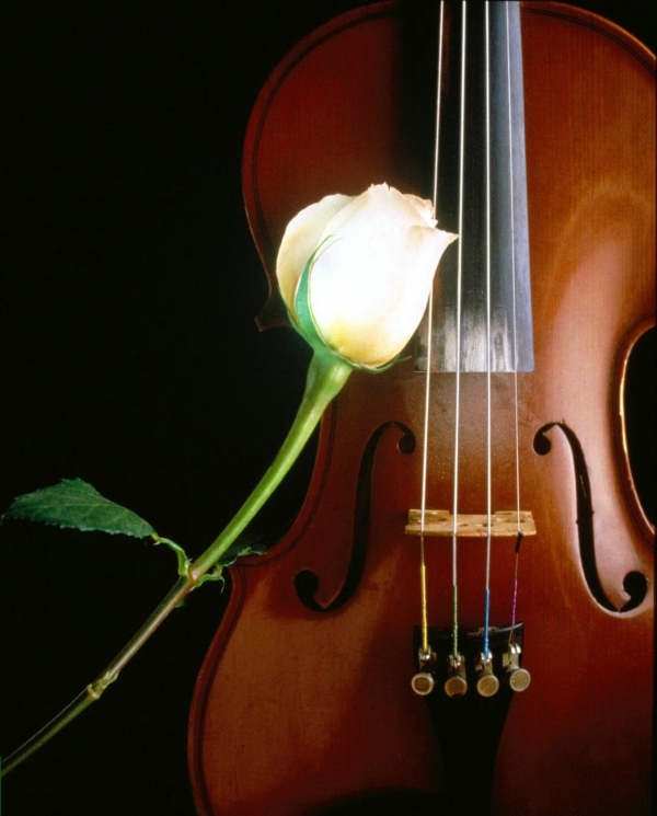Романтика в скрипичном ключе